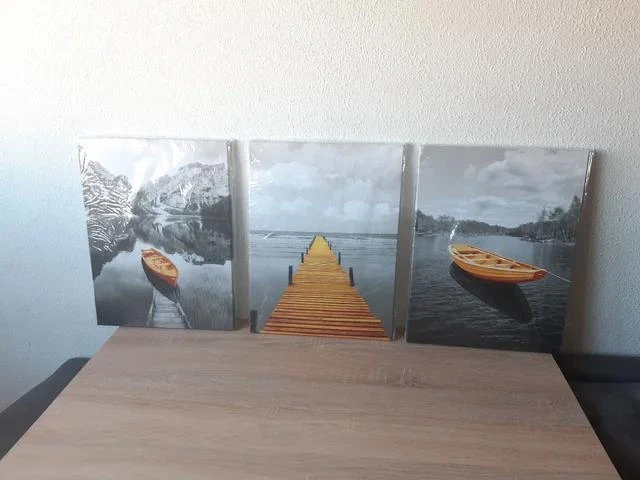 Lote 3 lienzos decorativos 30x40 cm